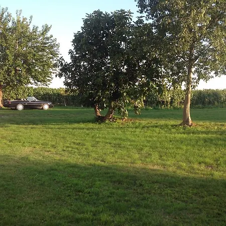 I Mischi Farm stay Castelnuovo del Garda